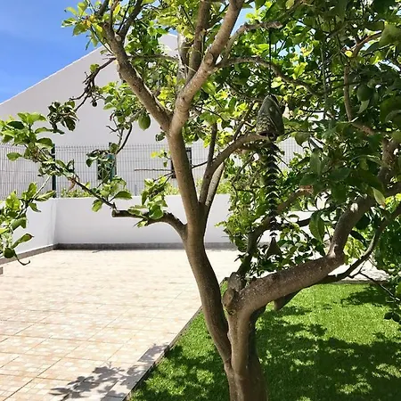 House - Large Patios, Free Wifi, Parking *